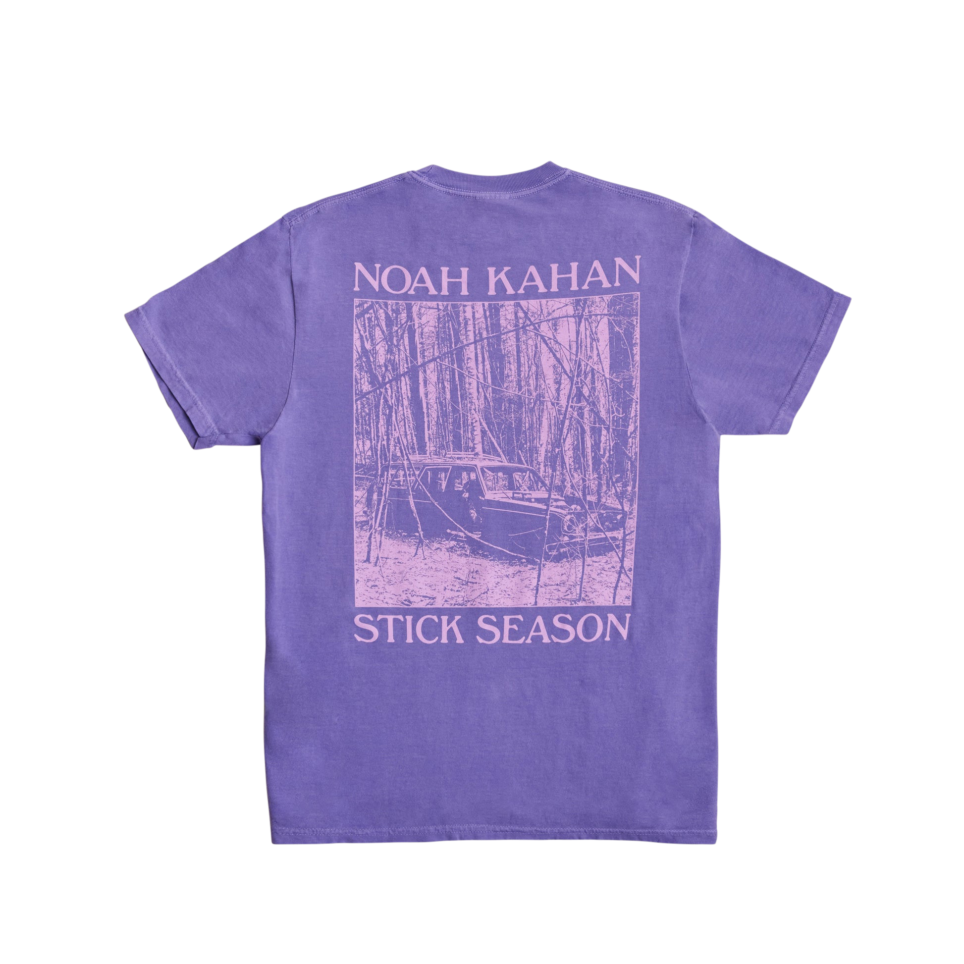 Stick Season Violet Tee Back