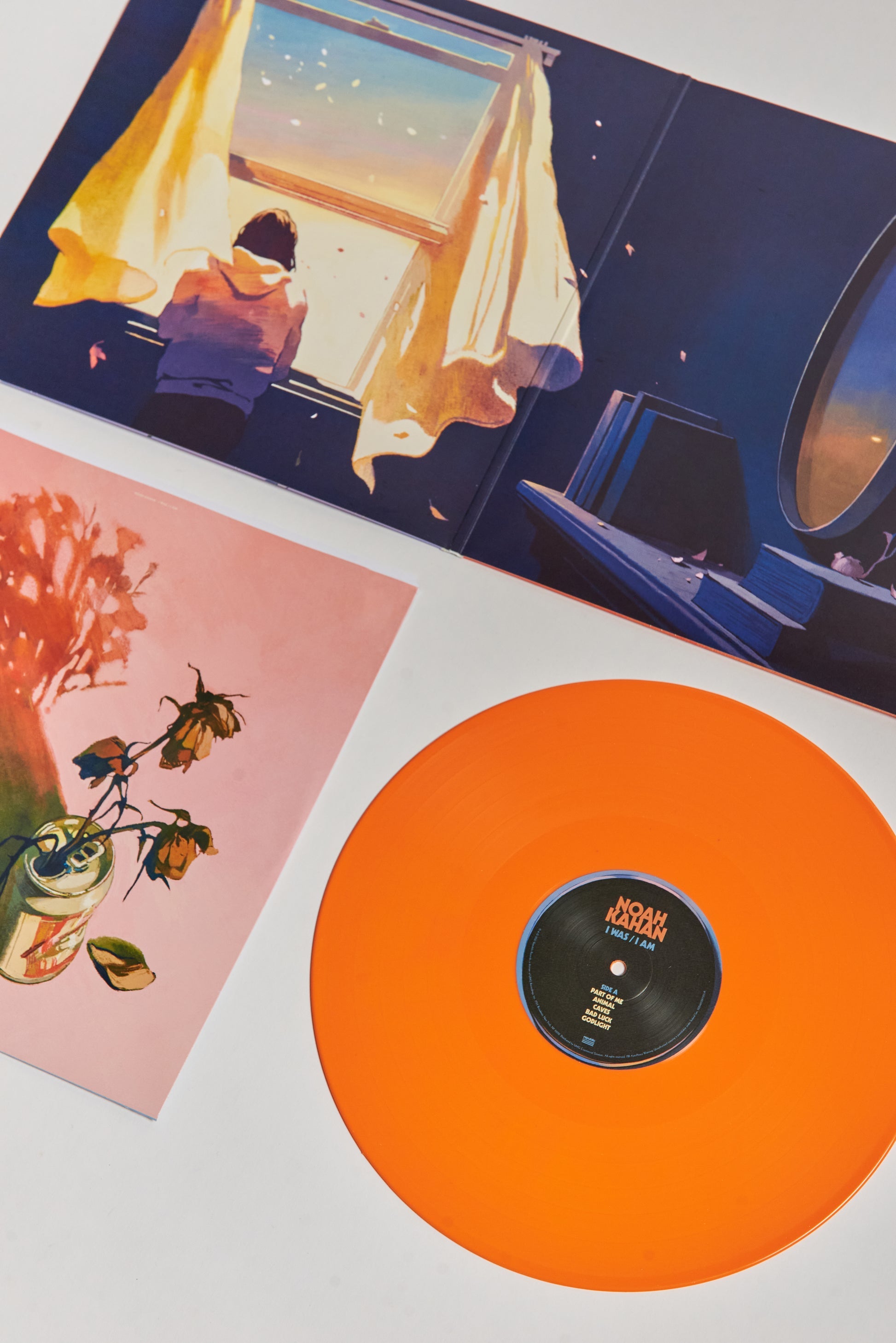 I WAS / I AM Vinyl Packshot Detail 2