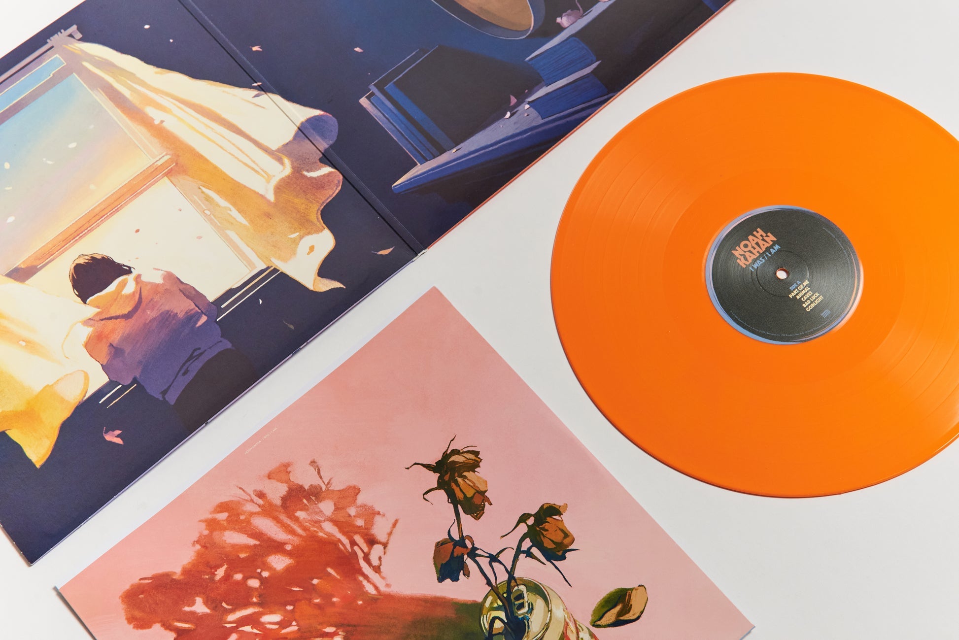 I WAS / I AM Vinyl Close Up Packshot