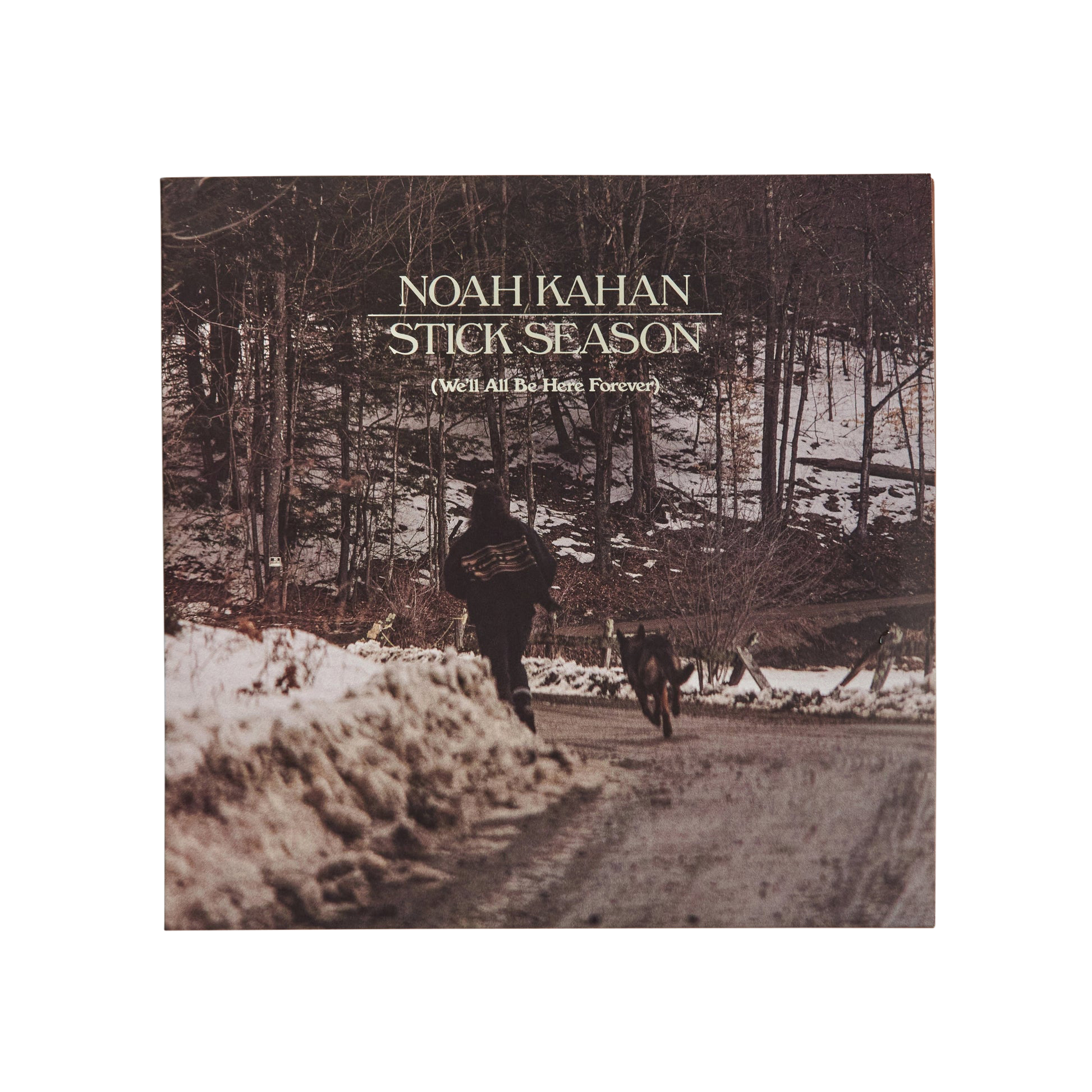 Stick Season (We'll All Be Here Forever) Deluxe Vinyl - Black Ice - Noah Kahan Official Website