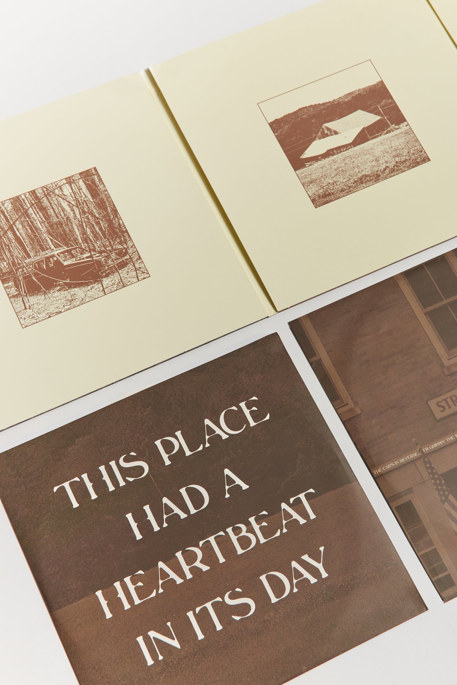 Stick Season (We'll All Be Here Forever) Deluxe Vinyl - Black Ice Detail 2