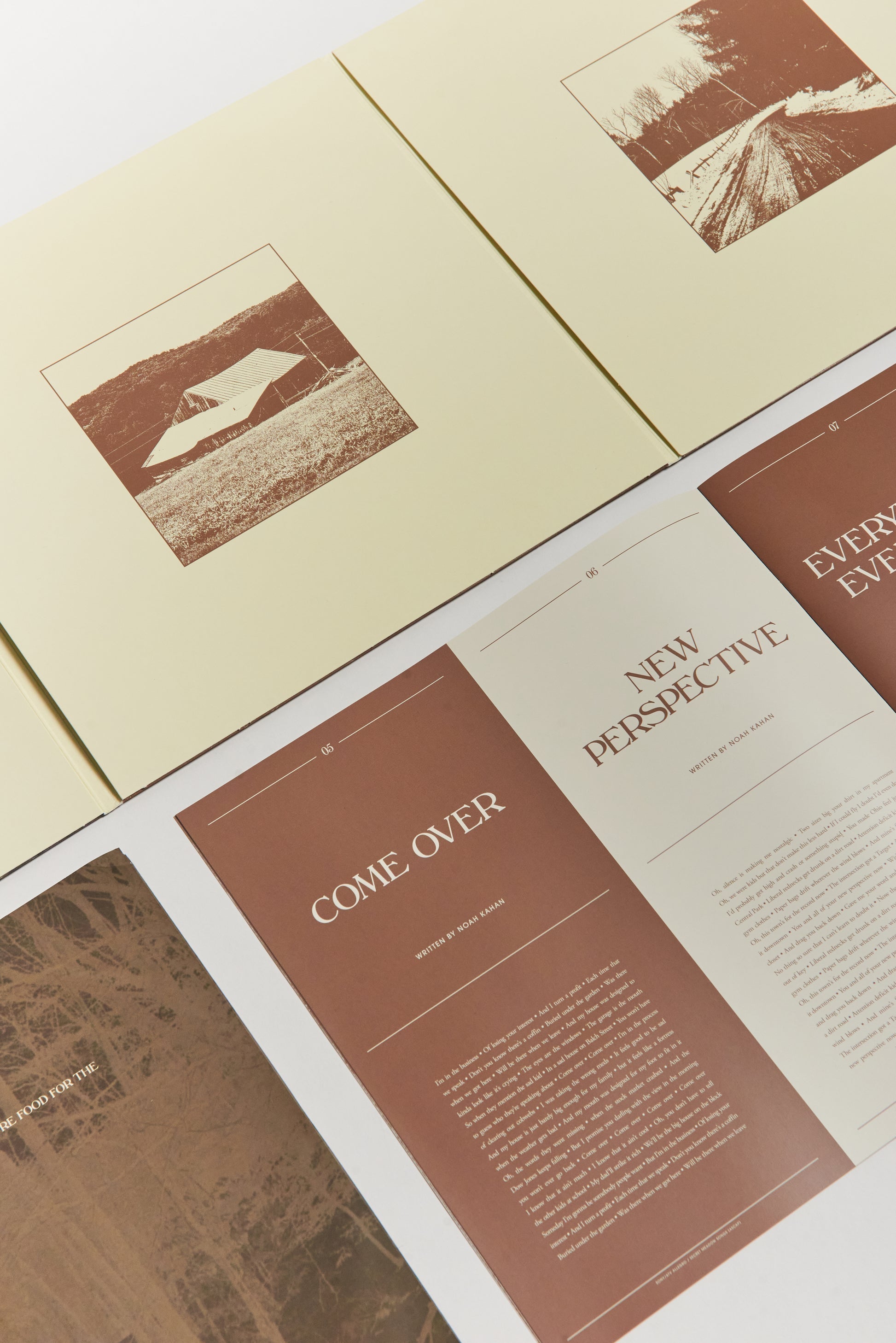 Stick Season (We'll All Be Here Forever) Deluxe Vinyl - Black Ice Detail 5