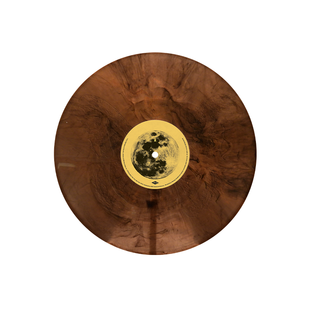 The Last Of The Bugs 12" Vinyl Side A