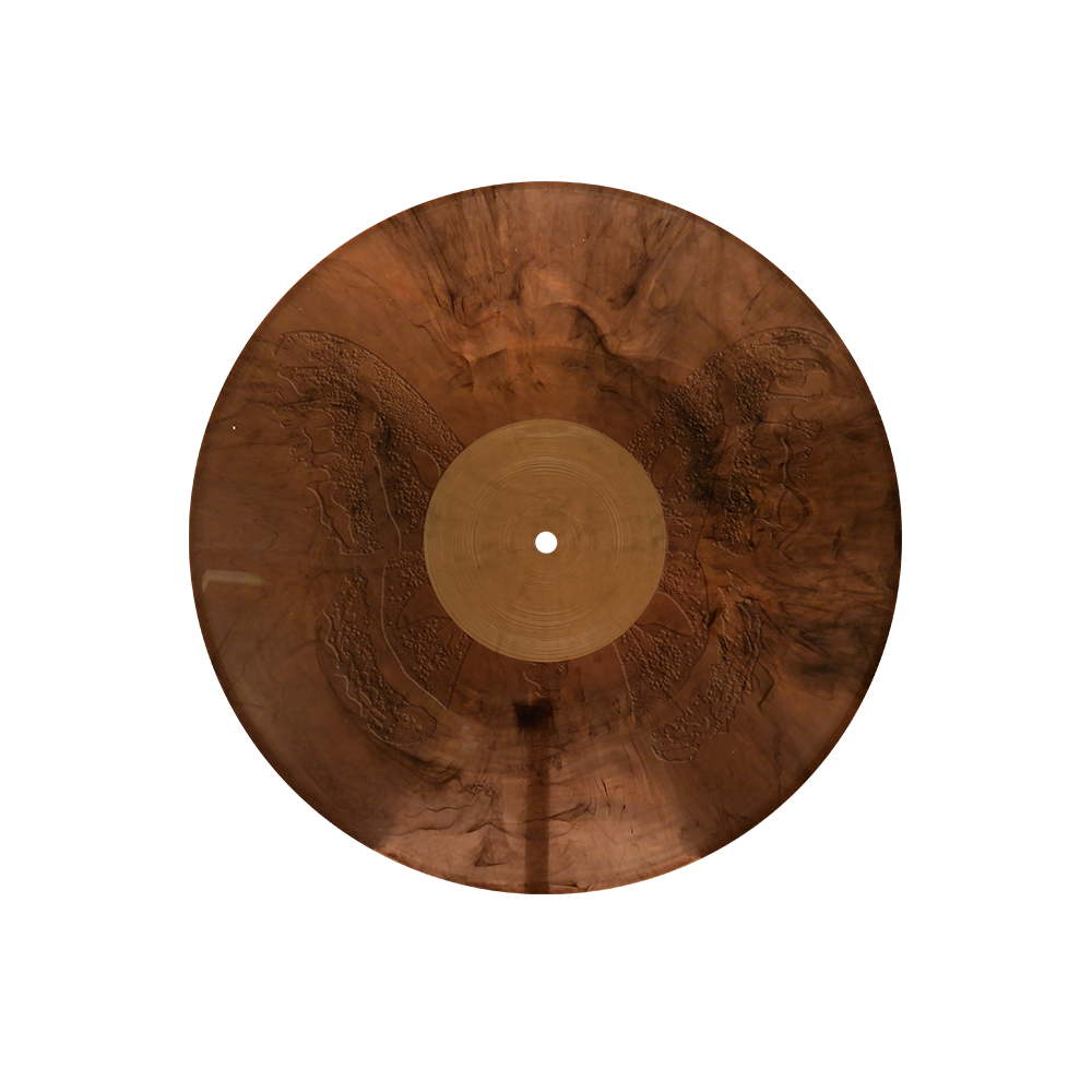 The Last Of The Bugs 12" Vinyl Side B
