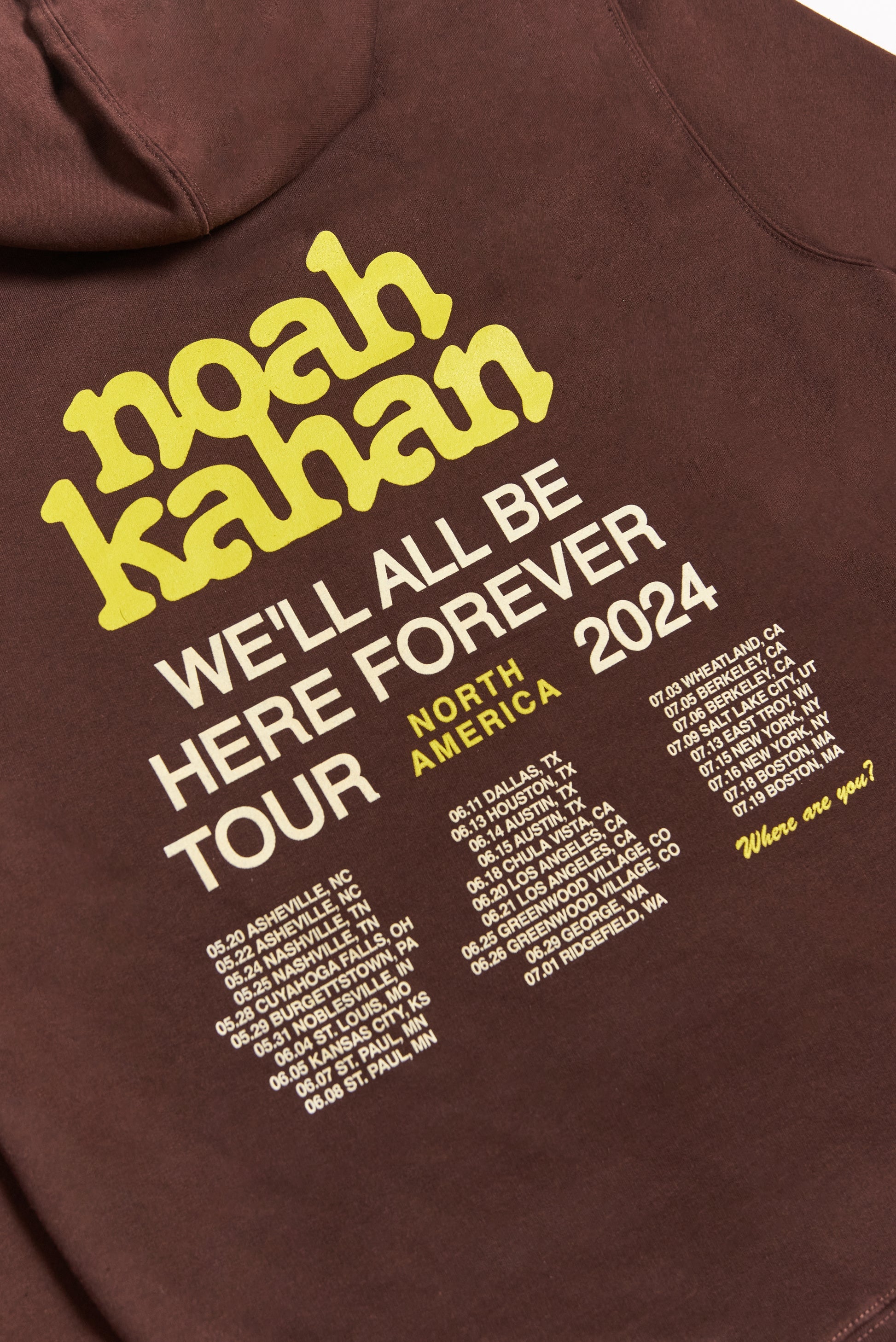2024 We'll All Be Here Forever Tour Hoodie Detail Back