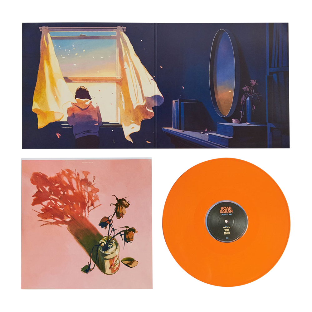 I WAS / I AM Vinyl Expanded